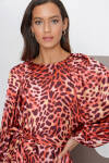 Taba Leopar Desen Elbise - 5