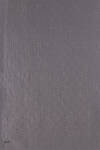 Antrasit 3840702 LİYOSEL SAL - 1