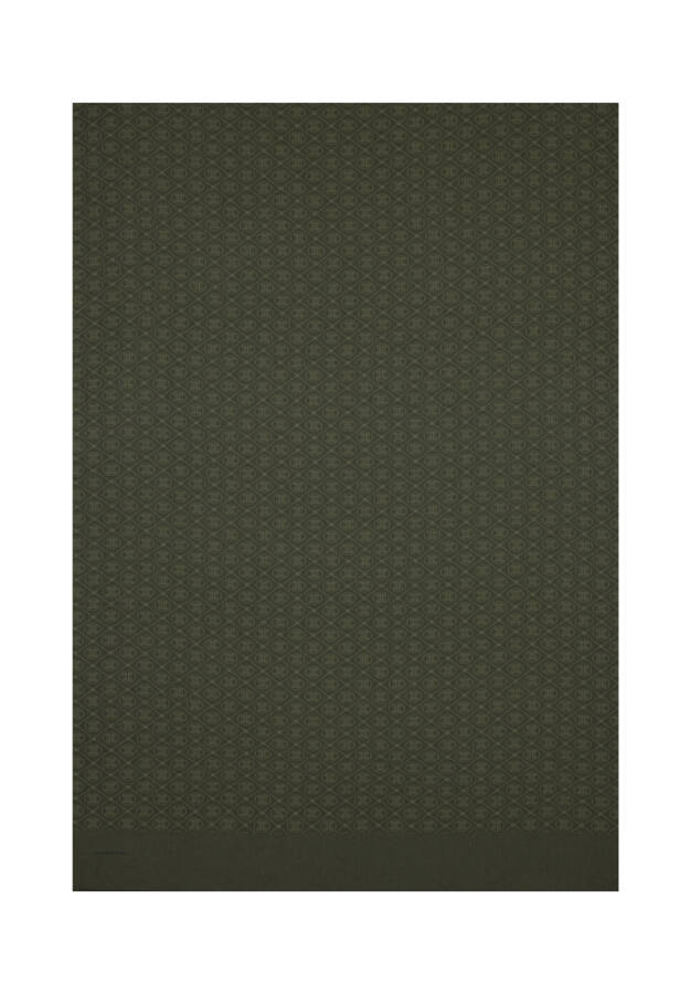 Haki Elegans Şal - Pierre Cardin