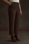 Kahverengi İç Beli Lastikli Dokuma Pantolon - 3