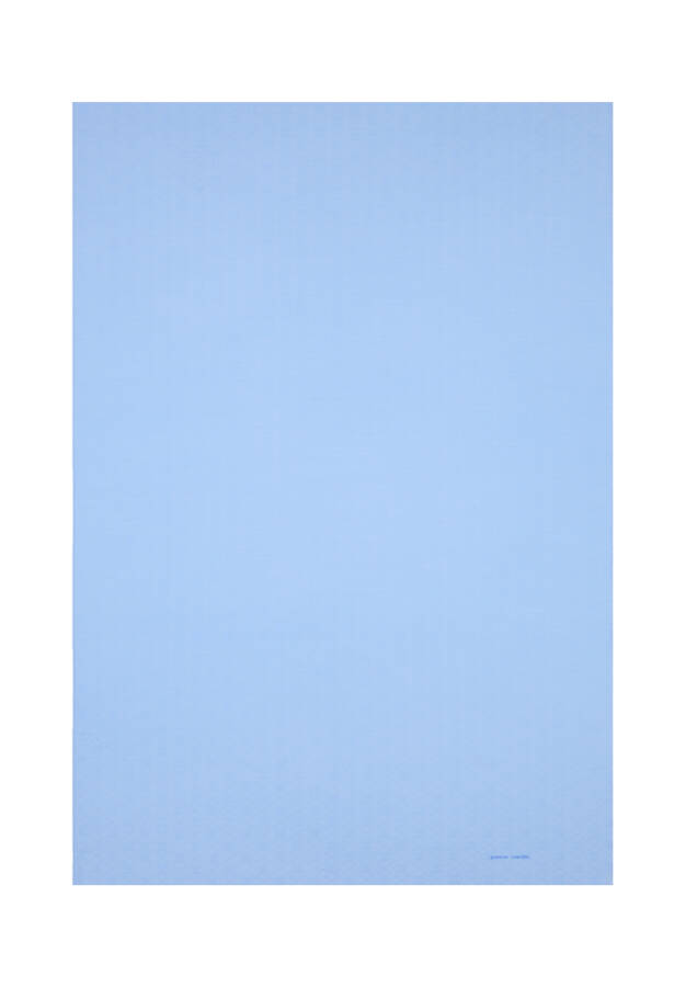 Mavi 75X190 CM Logolu İpek Koton Jakar Şal - 1