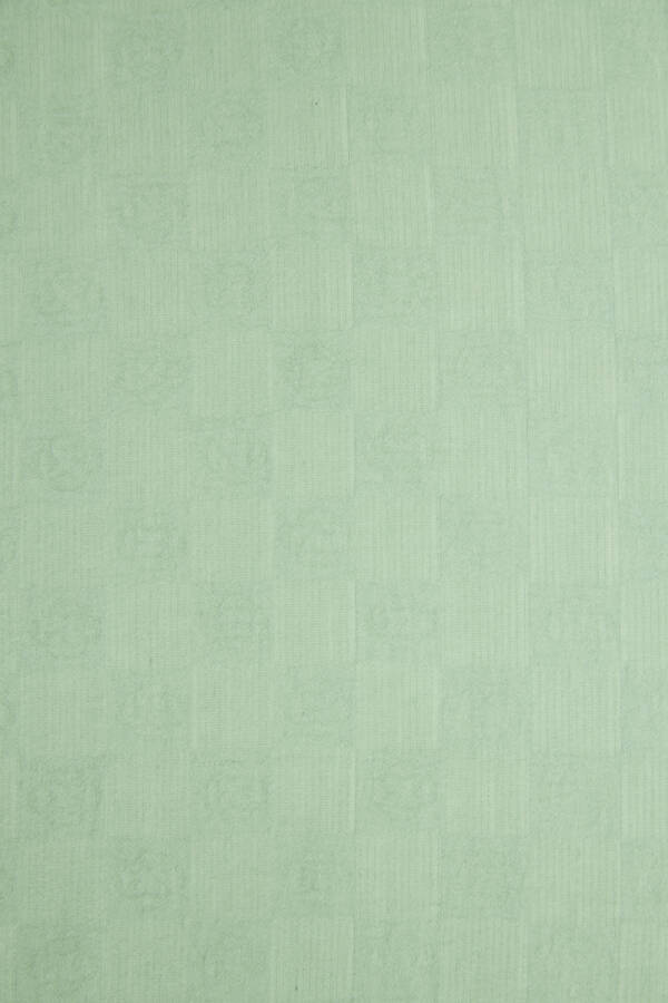 Yeşil 80x200 Modal Şal - 2