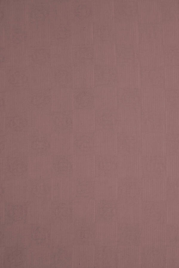 Vizon 80 X 200 CM Modal Şal - 2