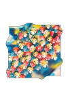 Renkli - 1