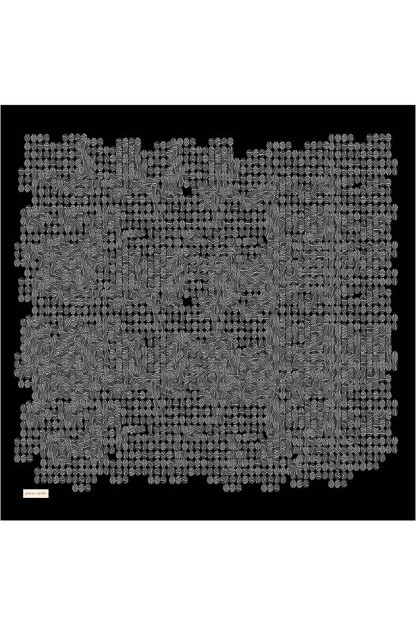 Renkli - Pierre Cardin