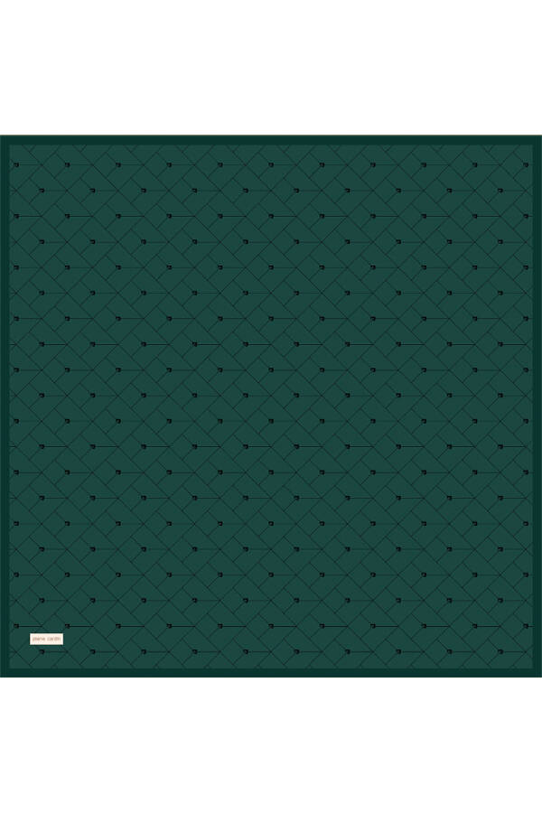 Renkli - Pierre Cardin