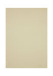 Renkli 75X190 CM Logolu İpek Koton Jakar Şal 
