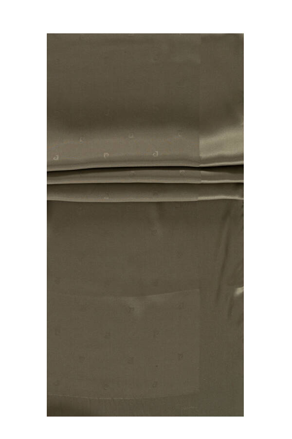 Vizon 75X200 Pierre Cardin Etol Eşarp - 1