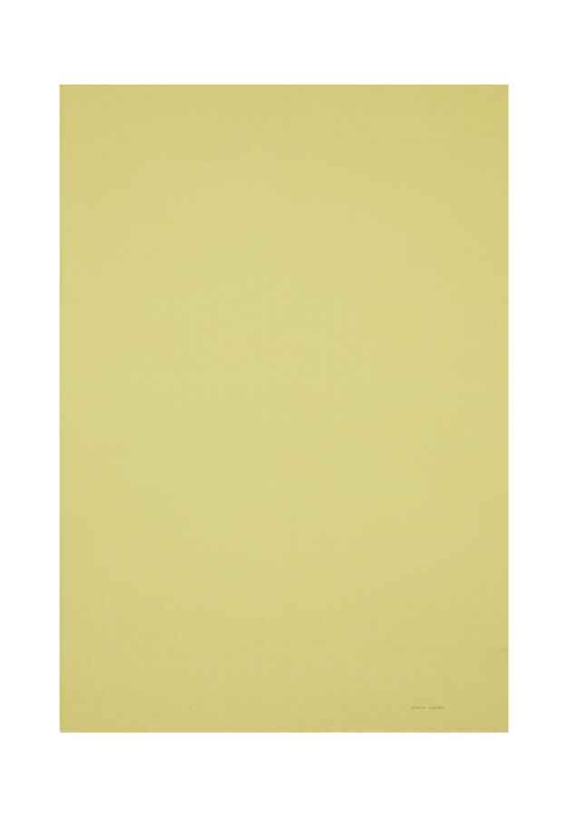 Sarı 75X190 CM Logolu İpek Koton Jakar Şal - Pierre Cardin