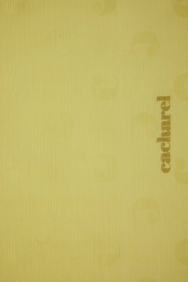 Sarı 75X200 B. Logolu İpek Koton Jakar Şal - Cacharel (1)