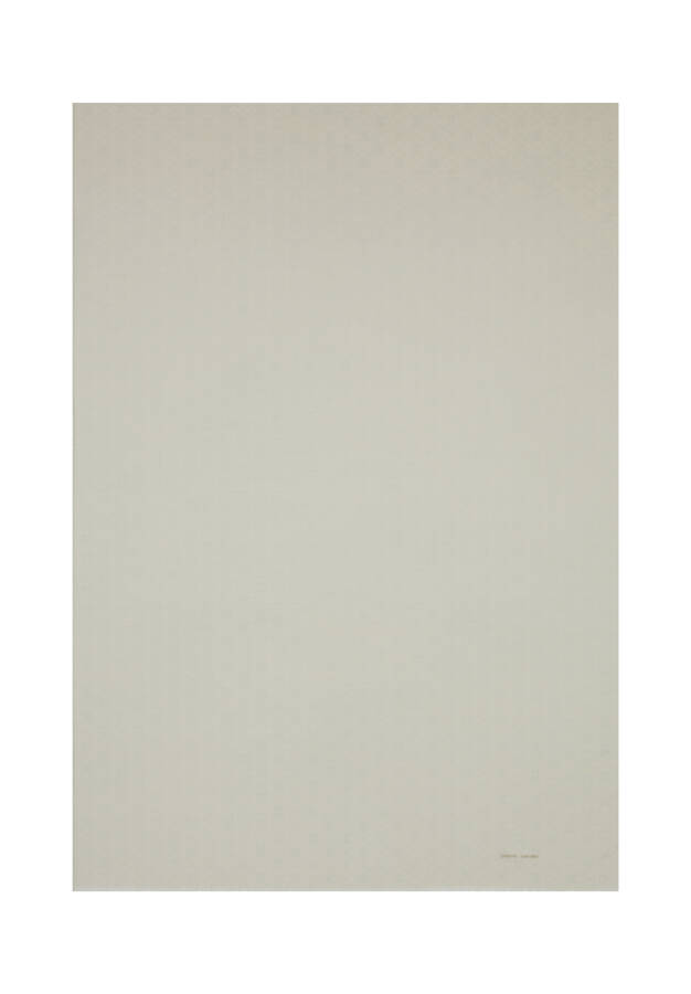 Taş 75X190 CM Logolu İpek Koton Jakar Şal - Pierre Cardin