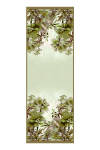 Yeşil 70X200 Pure Touch Şal 